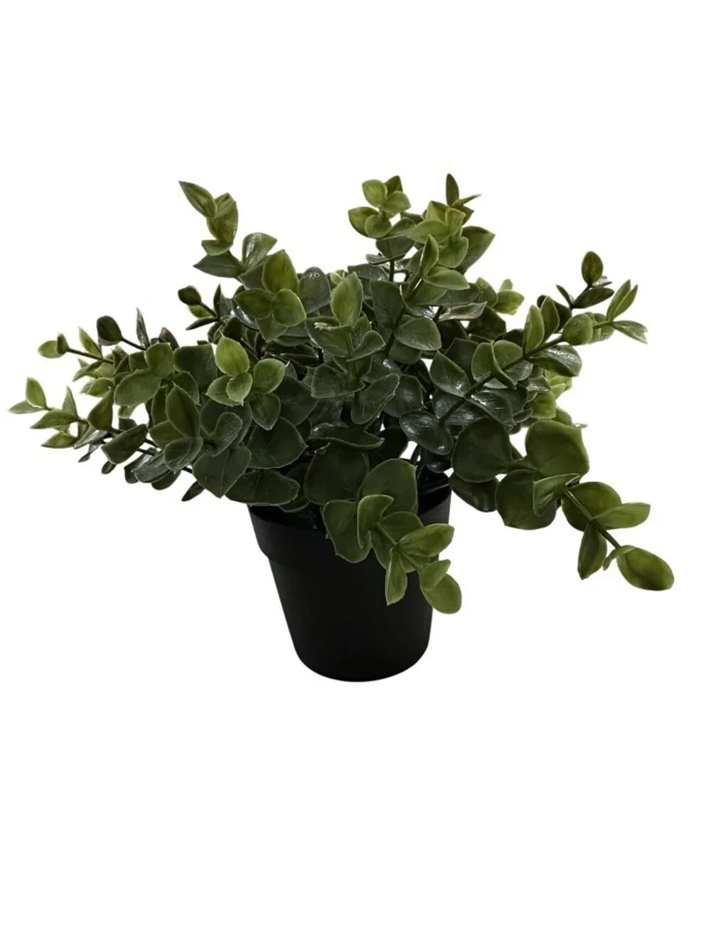 Ikea Fejka Oregano Artificial Potted Plant Fake Herb Faux 103.751.59 3.5